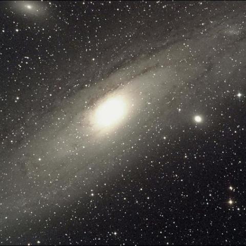 M31