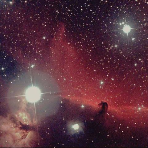 オリオン座　馬頭星雲&燃木星雲