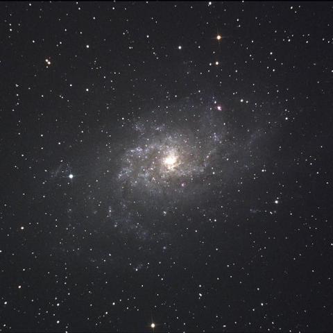 M33