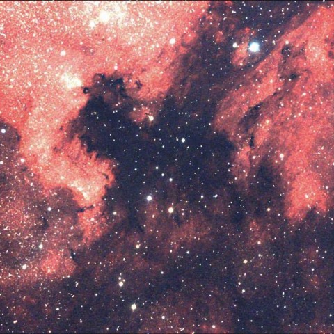 北アメリカ星雲&ペリカン星雲