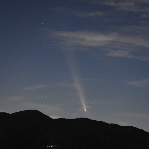 紫金山・アトラス彗星