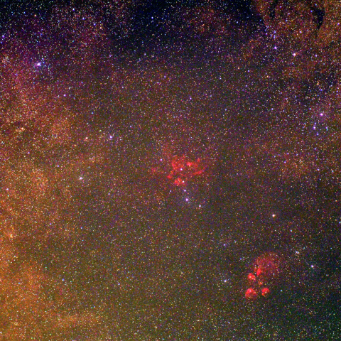 彼岸花星雲、出目金星雲、M6