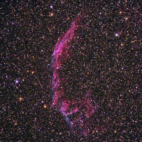 白鳥座網状星雲6992-5