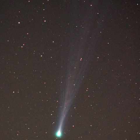 11月16日未明のアイソン彗星