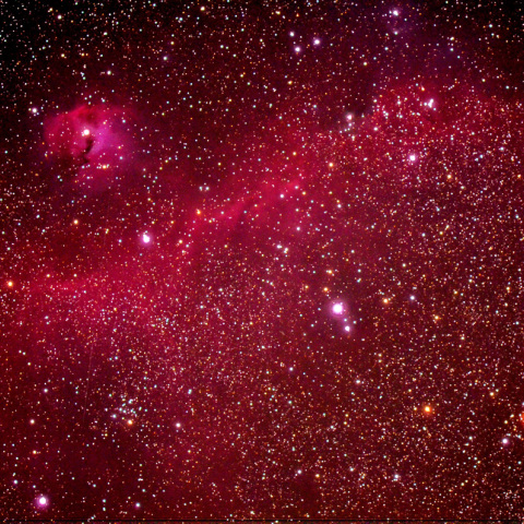 わし（かもめ）星雲