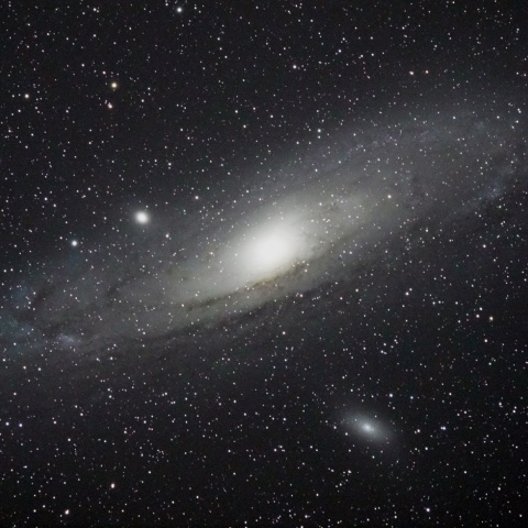 M31