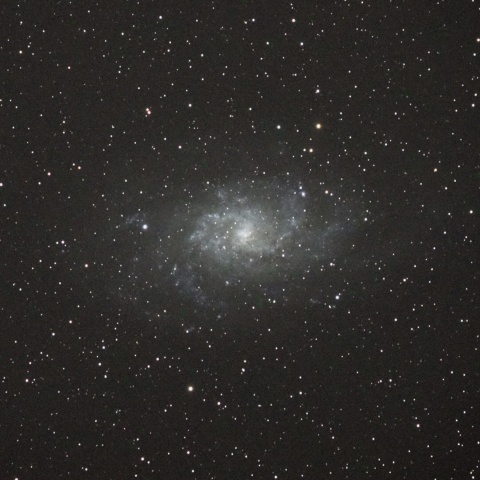 M33