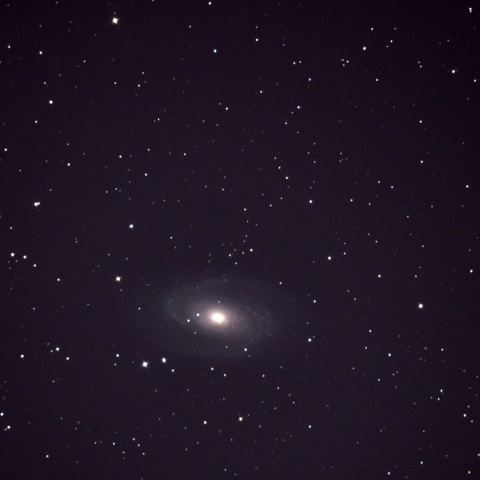M81.M82