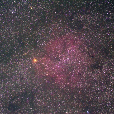 IC1396