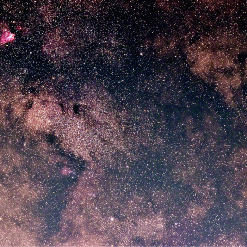 バンビの横顔からM23