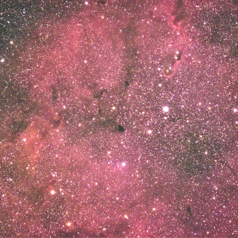 IC1396