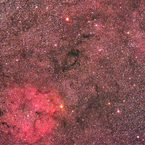 IC1396周辺