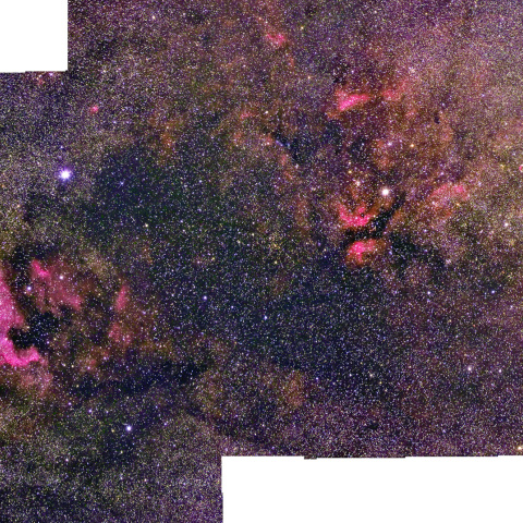 北アメリカからサドル