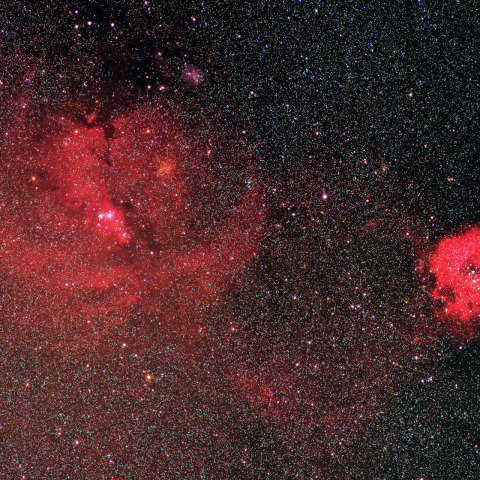 クリスマスツリー星団からバラ星雲