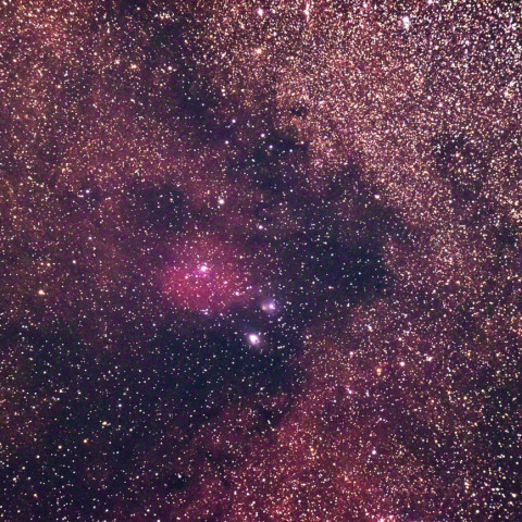 バンビの首飾り