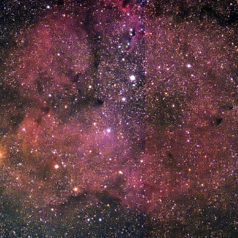 IC1396