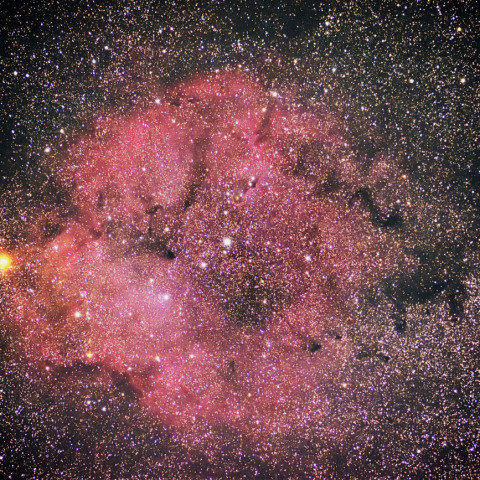 IC1396