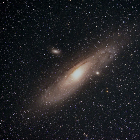M31