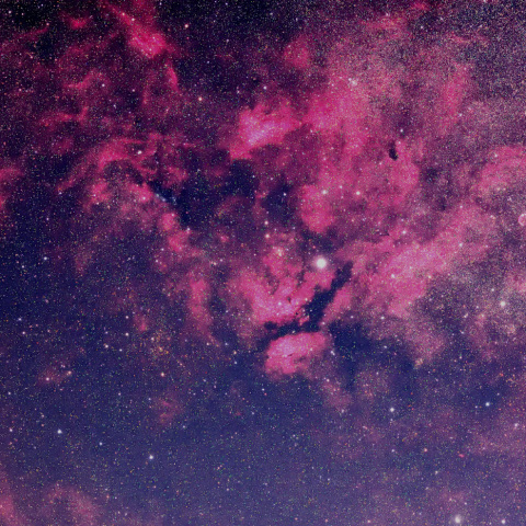 はくちょう座サドル周辺