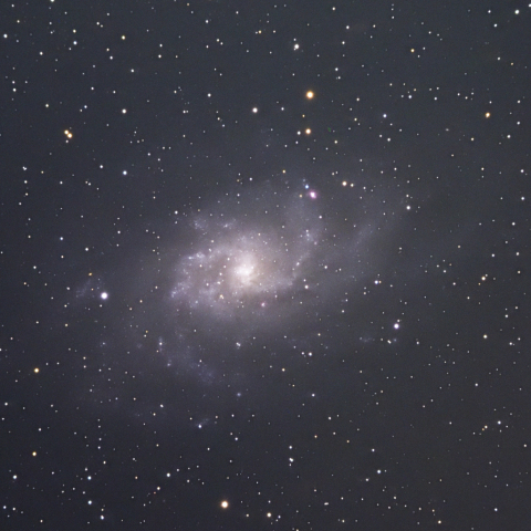 M33