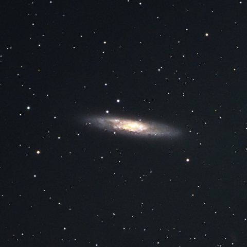 NGC253