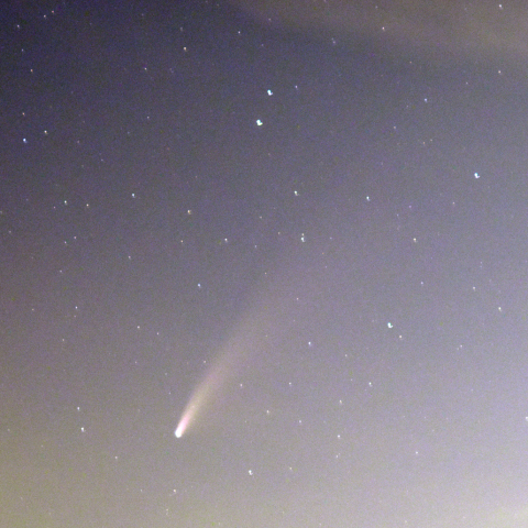 ネオワイズ彗星