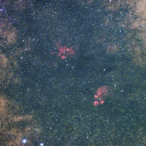 彼岸花、出目金星雲