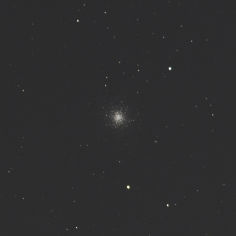M13
