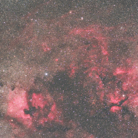 北アメリカ星雲からサドル周辺の星雲群