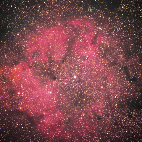 IC1396
