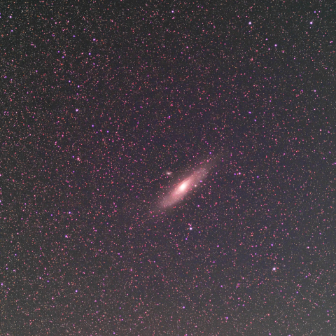 M31