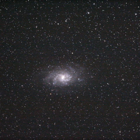 M33