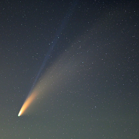 ネオワイズ彗星