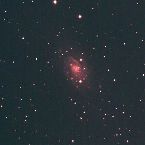 NGC2403　きりん座銀河