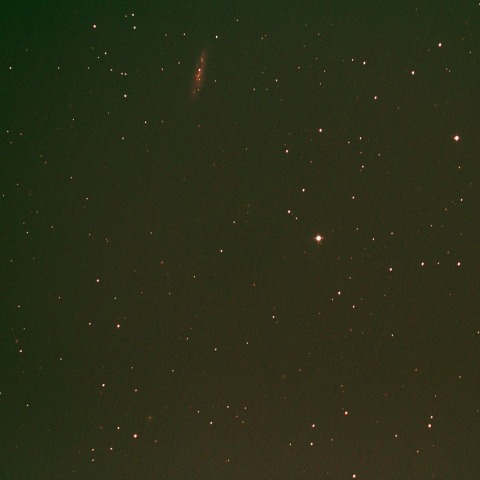 M97（フクロウ星雲）とM108（系外銀河）