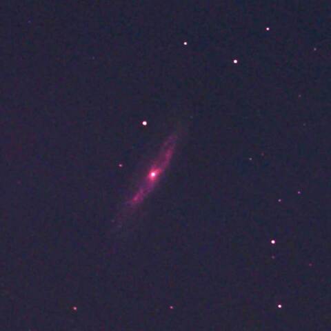 M98（かみのけ座）