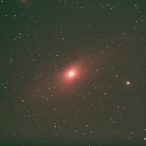 M31