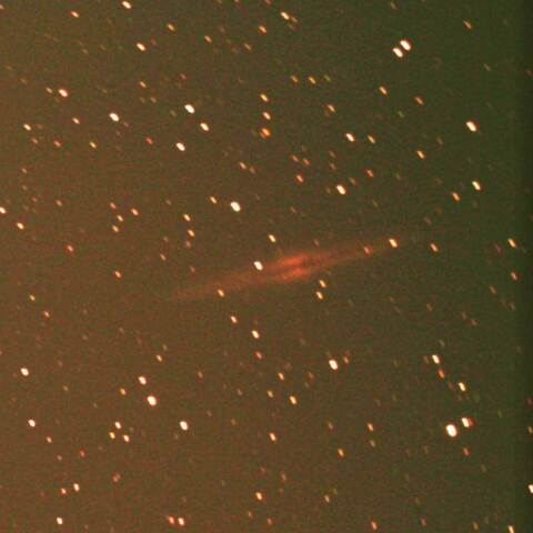 NGC891