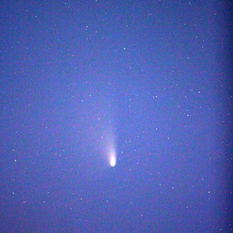4月4日明け方のパンスターズ彗星