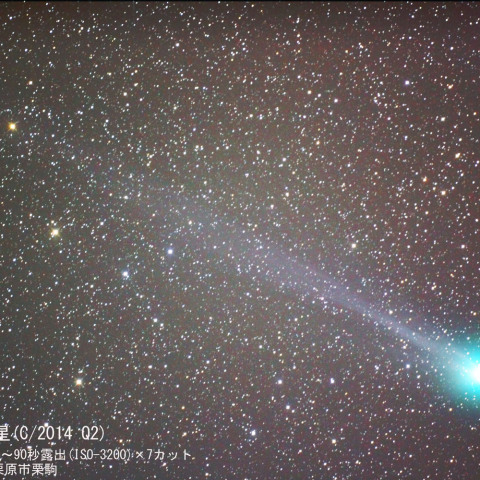 ２月１６日のラブジョイ彗星