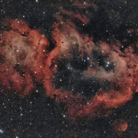 IC1848