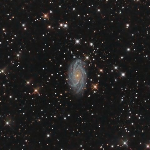 NGC2336