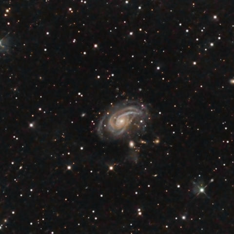 NGC772