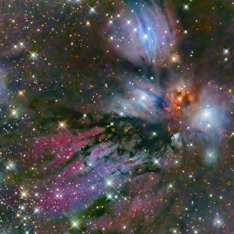NGC2170 The Angel Nebula