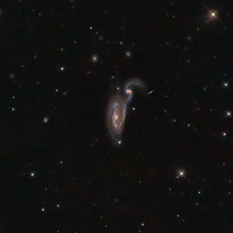 NGC5394 NGC5395 相互作用銀河