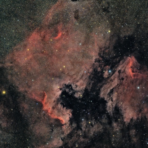 北アメリカとペリカン