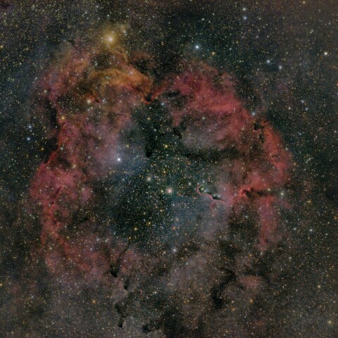 IC1396、ガーネットスター