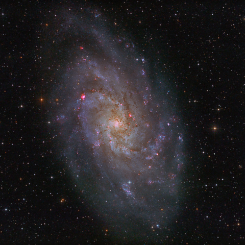 M33