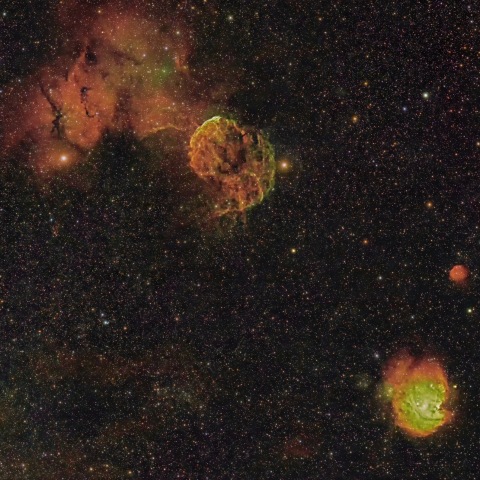 クラゲとモンキー