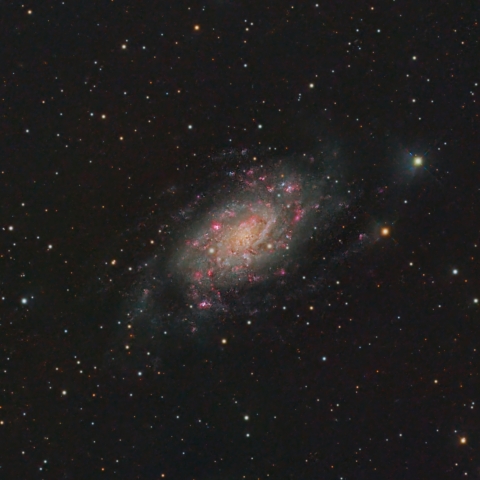 NGC2403